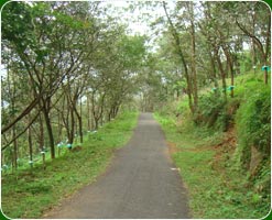 Attappady Hillstation in Kerala