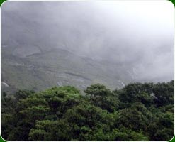 Devikulam Hillstation in Kerala