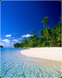 Kerala Beaches Tour Package