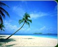 Kerala Beaches Tours