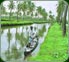 Kerala Farm Tourism - Kerala Travel Trips
