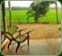 Kerala Homestay - Kerala Travel Trips