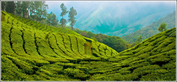 Munnar Hills Station