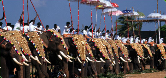 Kerala Travel Trips