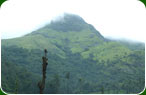 Kerala Travel Trips